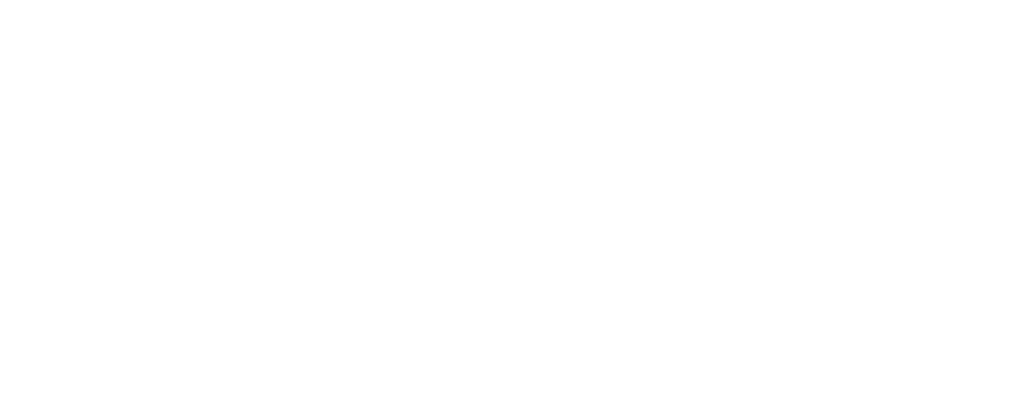 Lago Maggiore Travel Logo